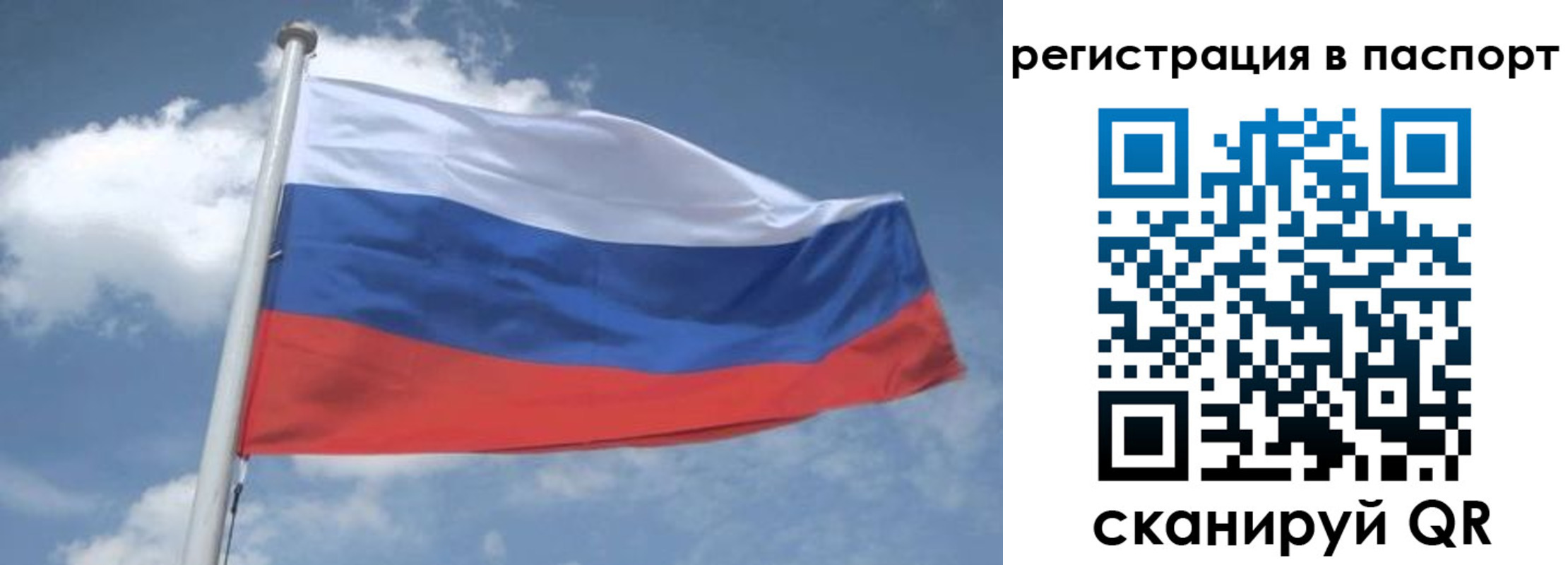 временная регистрация надежно в Грязовце
